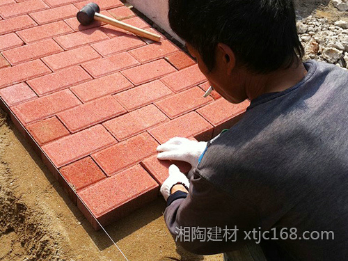 長沙動物園項目